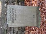 image of grave number 933396